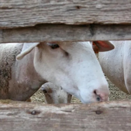 Le Du Larzac A Brunas *