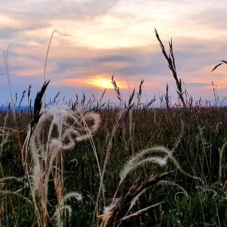 Dom wakacyjny Le Du Larzac A Brunas *
