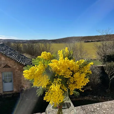 Le Du Larzac A Brunas * Creissels