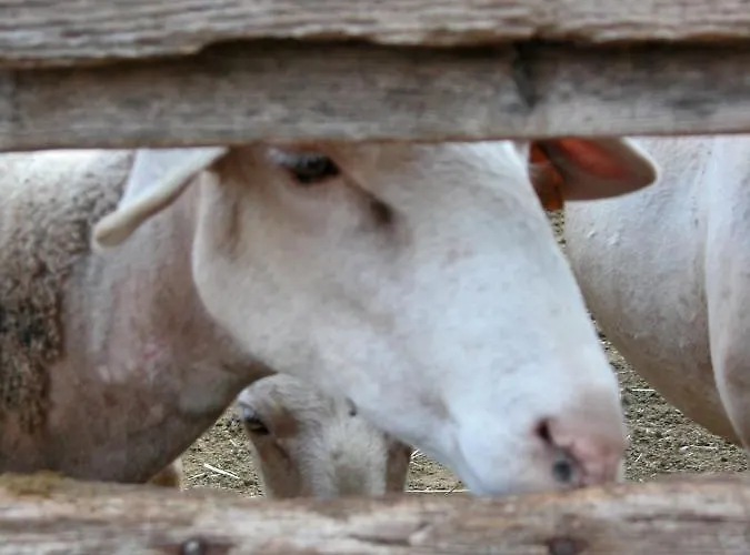 Le Du Larzac A Brunas *