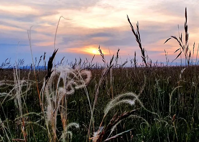 Дом отдыха Le Du Larzac A Brunas *