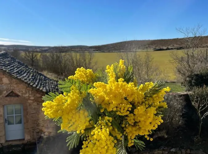 Le Du Larzac A Brunas * Creissels